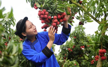 Xã Phúc Hòa (Bắc Giang): Điểm sáng chuyển đổi số trong xây dựng nông thôn mới