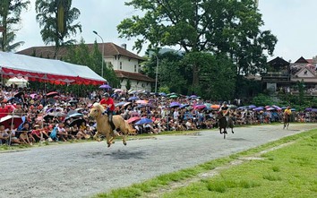 Kịch tính giải đua ngựa truyền thống trên Cao nguyên trắng Bắc Hà