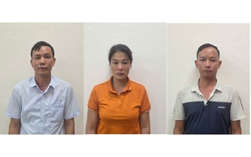 Quảng Ninh: Khởi tố ba đối tượng liên quan đến khai thác trái phép rừng tự nhiên