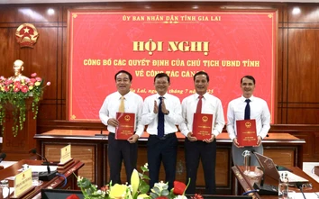 Gia Lai: Kiện toàn bộ máy Ban Quản lý Khu kinh tế tỉnh
