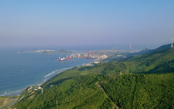 Khánh Hòa rà soát toàn bộ dự án liên quan đến đất rừng tại Khu Kinh tế Vân Phong