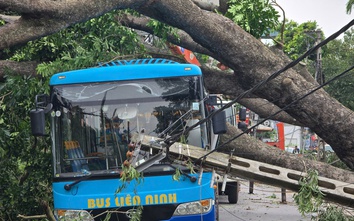 Hà Nội: Khẩn trương khắc phục hậu quả sau giông lốc, giải cứu ô tô, xe buýt mắc kẹt