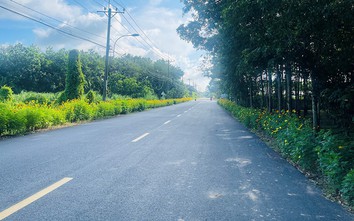 TP.HCM: Tất cả các xã hoàn thành tiêu chí nông thôn mới nâng cao