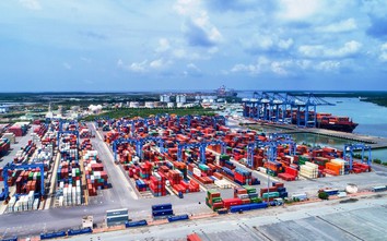 Thành lập Hội đồng thẩm định chủ trương đầu tư Tổ hợp cảng Cái Mép Hạ, trung tâm logistics