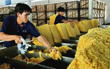 Từ ngôi vương xuất khẩu cao su, Thái Lan có nguy cơ hụt hơi trước Việt Nam?