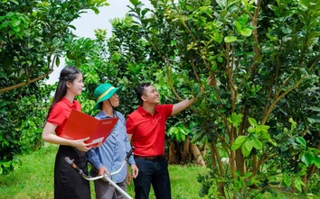 Agribank tích cực hỗ trợ hộ kinh doanh chuyển đổi thành doanh nghiệp