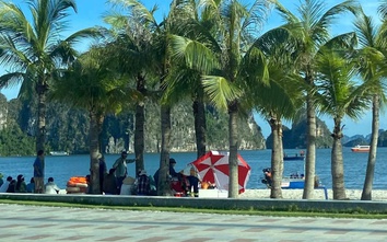Quảng Ninh: Tìm thấy thi thể người đàn ông mất tích khi tắm biển ở Hòn Gai