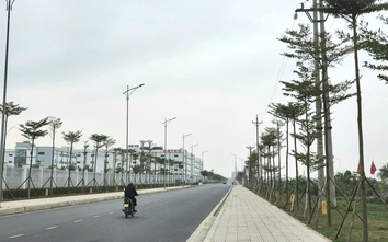 Thúc đẩy hợp tác quốc tế tại KCN Liên Hà Thái