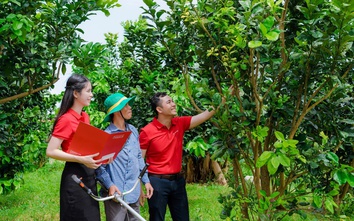 Agribank - doanh nghiệp ESG Việt Nam Xanh 2025