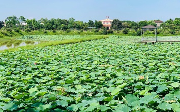 Hà Tĩnh cho thuê 576ha đất có tiềm năng khai thác phục vụ phát triển du lịch