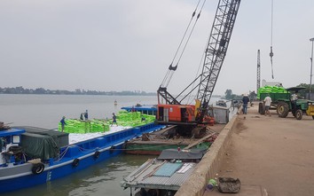 Phát triển cảng biển An Giang, nâng cấp luồng cho tàu trọng tải lớn vào sông Hậu