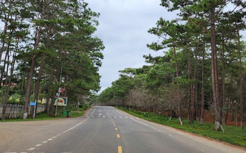 Quảng Ngãi sẵn sàng bắt tay làm đường sắt tốc độ cao, sân bay