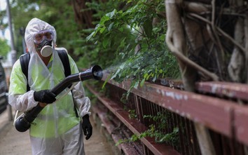 Dịch Chikungunya bùng phát ở Trung Quốc có nguy cơ xâm nhập vào Việt Nam?
