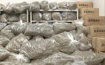 Bộ Ngoại giao lên tiếng vụ 3 người Việt bị bắt ở Nhật