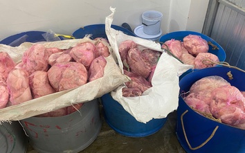 Gia Lai: Tiêu hủy hơn 1 tấn thịt heo và chả ram không rõ nguồn gốc