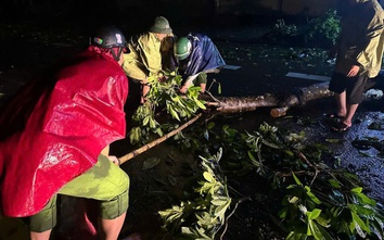 Hà Tĩnh - Nghệ An: Xuyên đêm dọn cây đổ, khơi thông giao thông sau bão số 5