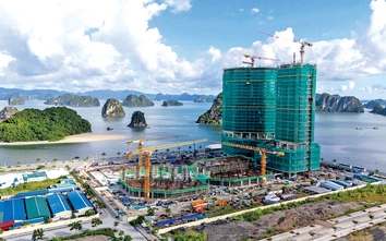 Nhà thầu Việt cần gì để thắng trên sân nhà?