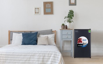 Tủ lạnh tiết kiệm nào phù hợp với người lao động giữa bão giá?