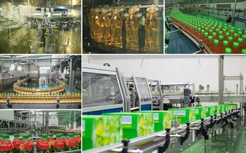 Giá trị đột phá của Trà Xanh Không Độ đến từ đâu?