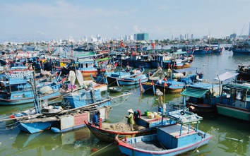 Đẩy nhanh đăng kiểm tàu cá, gỡ vướng cho ngư dân Lâm Đồng