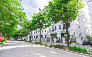 Quy hoạch bài bản, hạ tầng tốt là chìa khóa hạn chế ngập úng