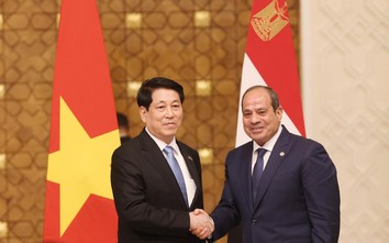 Việt Nam - Ai Cập nâng cấp quan hệ lên Đối tác Toàn diện
