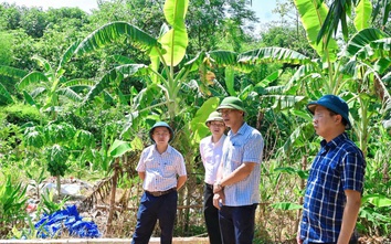 Phú Thọ siết chặt quản lý trật tự xây dựng sau sáp nhập địa giới hành chính