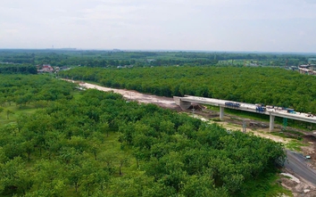 Đồng Nai tăng tốc bàn giao đất cao su phục vụ các dự án trọng điểm