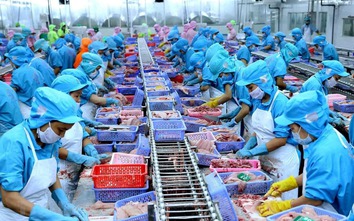 Tỉnh nào chiếm ngôi xuất khẩu sau sáp nhập?