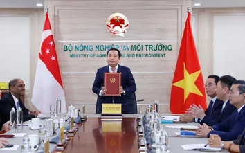 Việt Nam - Singapore ký thỏa thuận hợp tác carbon theo Điều 6 Thỏa thuận Paris