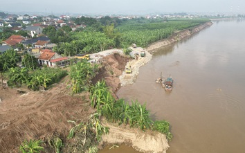 Phú Thọ khẩn cấp xây kè chống sạt lở bờ sông Hồng