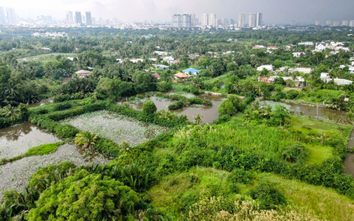 TP.HCM: Nhiều dự án ‘treo’ kéo dài, đời sống người dân bị ảnh hưởng