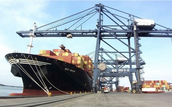 Ba cảng biển Việt Nam lọt top 100 cảng container có hàng thông qua lớn nhất thế giới