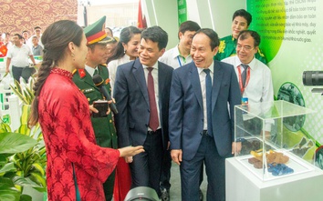 Nhựa Tiền Phong đưa thương hiệu Việt vươn xa