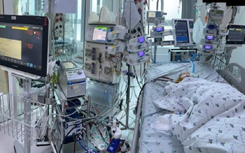 TP.HCM: Tăng ca sốt xuất huyết, tay chân miệng nặng, Bộ Y tế chỉ đạo khẩn