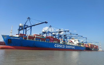 30 tuyến dịch vụ nối cảng biển Hải Phòng với Mỹ và châu Á