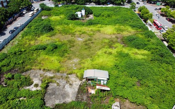 Cương quyết thu hồi đất bỏ hoang, sử dụng sai mục đích, lãng phí