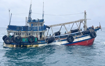 Cà Mau: Bắt giữ tàu cá không tín hiệu VMS, vận chuyển trái phép 100.000 lít dầu D.O