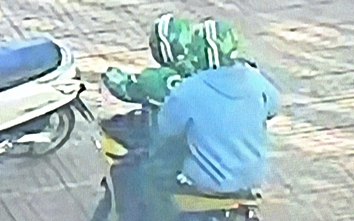 Hai đối tượng cầm vật giống súng cướp ngân hàng ở Gia Lai