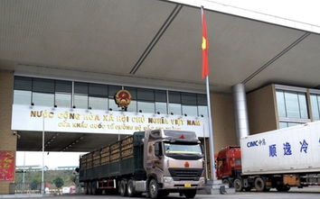 Bộ Xây dựng công bố thủ tục cấp giấy phép kinh doanh vận tải đa phương thức quốc tế