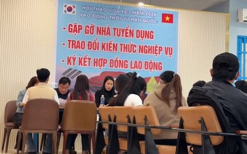 Phạt 4 công dân Hàn Quốc tổ chức tuyển dụng lao động trái phép tại Cần Thơ