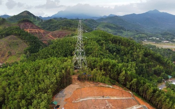 Quảng Ngãi tháo gỡ vướng mắc giao đất 3 dự án thủy điện