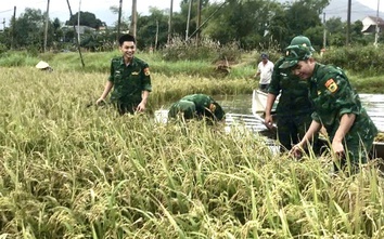 Gia Lai xây dựng thế trận phòng thủ dân sự vững chắc, chủ động ứng phó thiên tai