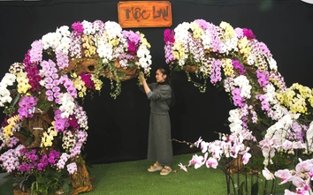 Nghệ An: Hoa và cây cảnh Tết tấp nập xuống phố