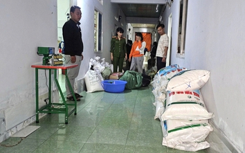 Gia Lai: Phát hiện điểm sản xuất bột ngọt, hạt nêm giả quy mô lớn trong phòng trọ