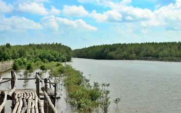 Cà Mau: Gần 100 tỷ đồng quản lý rừng bền vững ở Đất Mũi