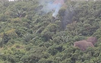 Bộ Quốc phòng thông tin về sự cố máy bay quân sự rơi tại Đắk Lắk