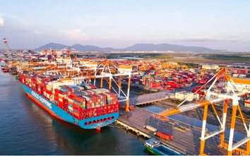 TP.HCM: Chấp thuận chủ trương đầu tư và nhà đầu tư dự án cảng container Cái Mép Hạ