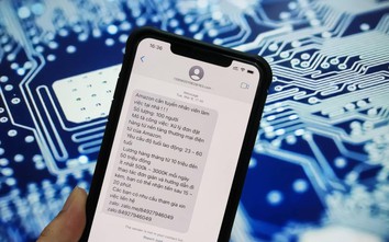 Số lượng nạn nhân lừa đảo trực tuyến lần đầu giảm sau nhiều năm