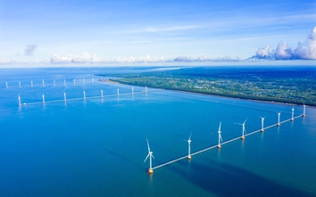 Loạt quy định mới về đấu thầu dự án năng lượng